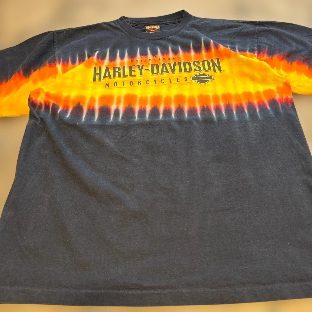 HARLEY-DAVIDSO　USA製　希少！　シングルステッチTシャツ　L