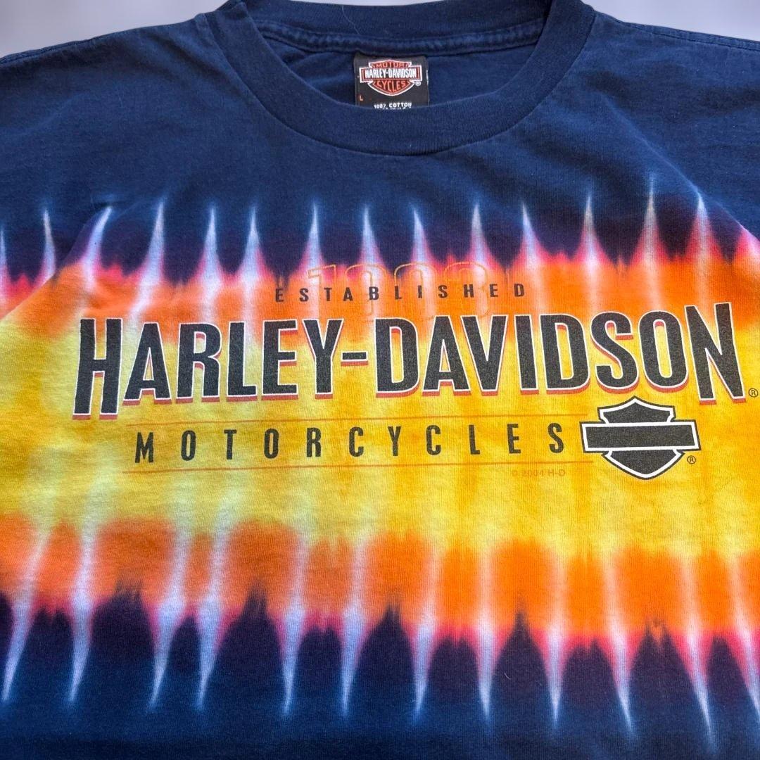 HARLEY-DAVIDSO　USA製　希少！　シングルステッチTシャツ　L