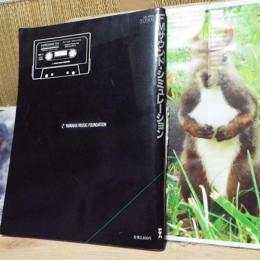 貴重_WX7対応_FM_SOUND_SIMULATION_SAL-GALLINA