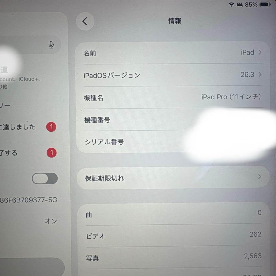 a*a様 iPad Pro 11インチ 第1世代 64GB Wi-Fi スペース