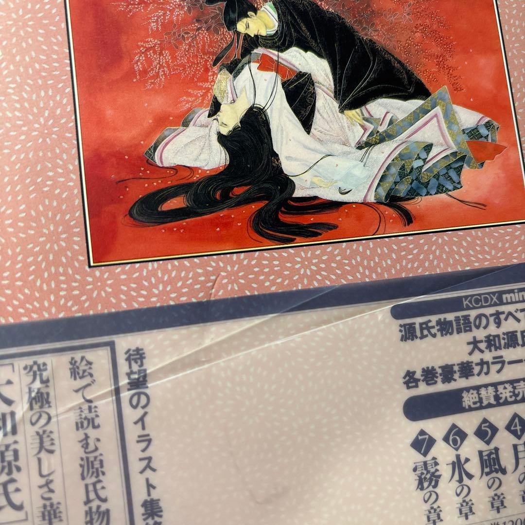 【最終値下】源氏物語 あさきゆめみし ワイド版 デラックス版 全巻 大和和紀