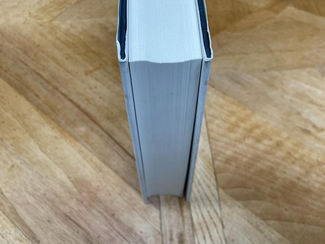【新品未読品】ヘーゲル初期論文集成
