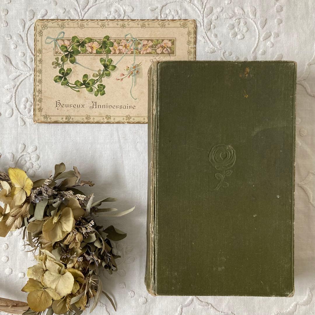 L932 洋書古書　1925年発行　繊細な植物画が美しいアンティーク植物図鑑