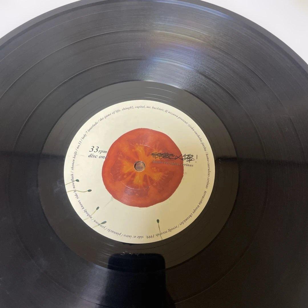 緑黄色人種 SHING02 アナログ盤 2枚組レコード 1999年 オリジナル盤