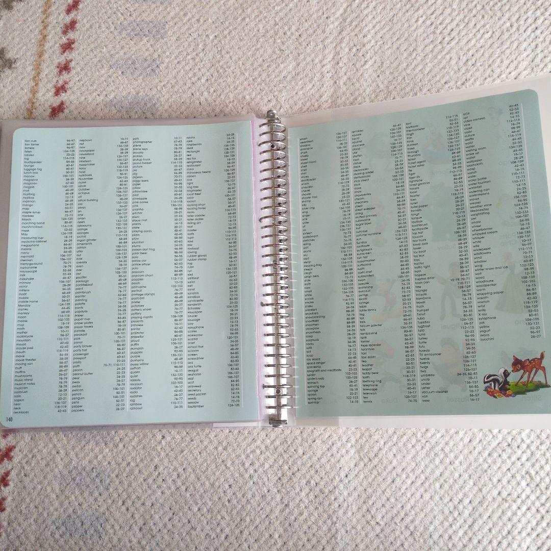 DWE MyBigBookofWords セット売り 絵本 英語 単語