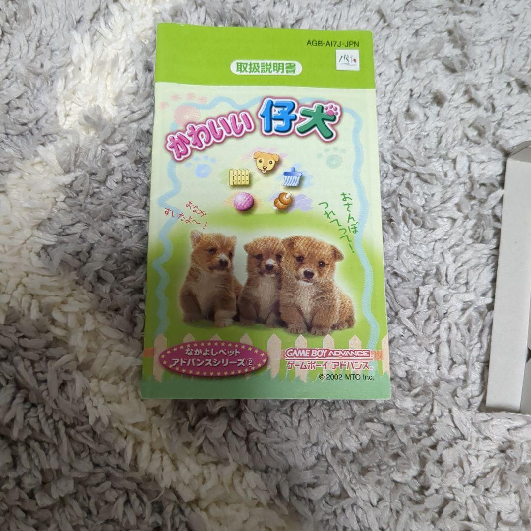 完美品　かわいい仔犬