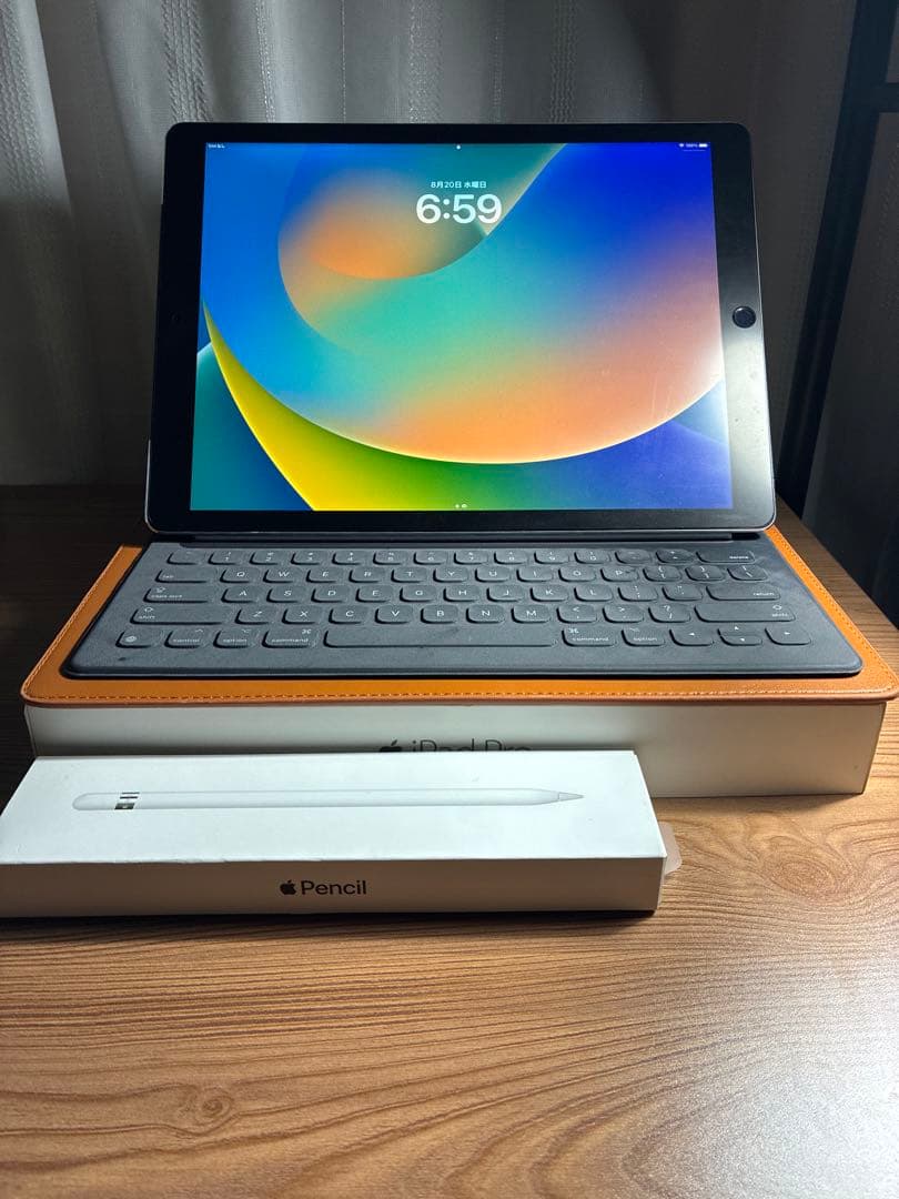 iPad Pro 12.9㌅最大容量100%