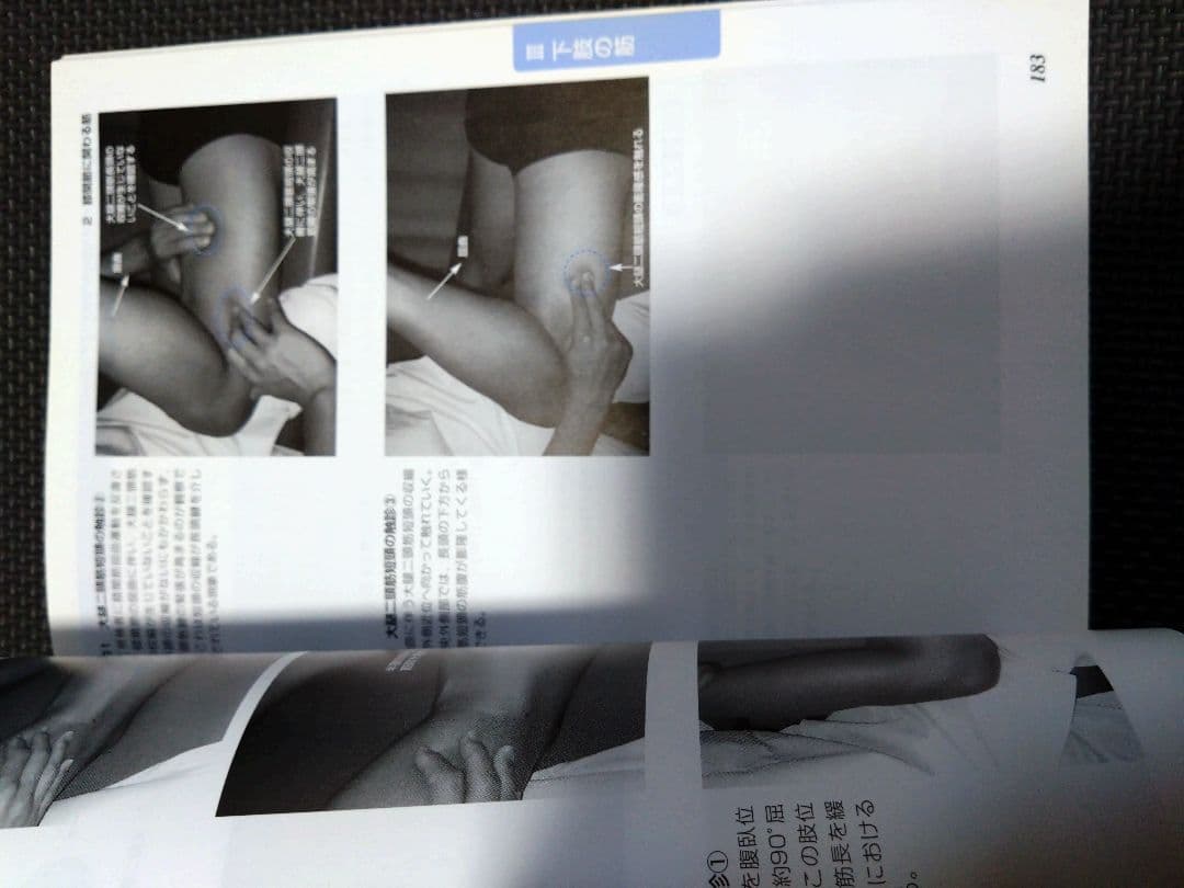 新人　理学療法士　作業療法士　整形外科ナビゲーション　触診技術2冊セット　まとめ