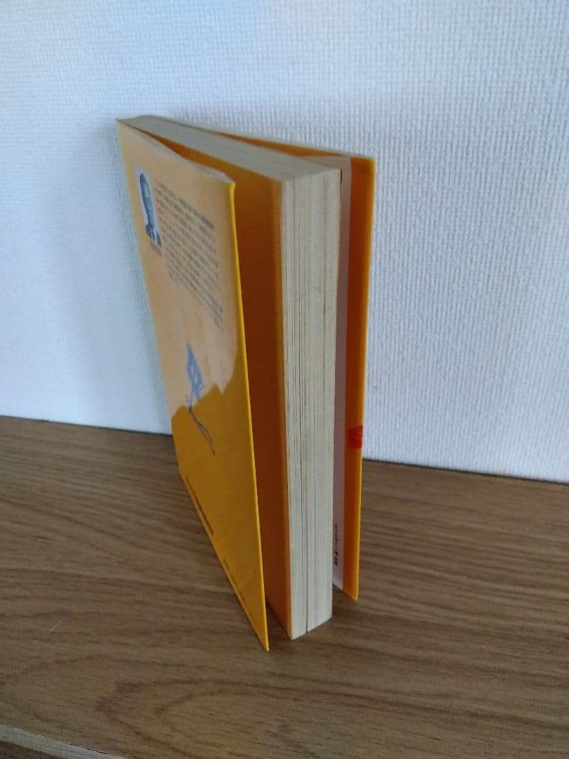 バブル相場は終わった！！さあ、出陣しよう！！