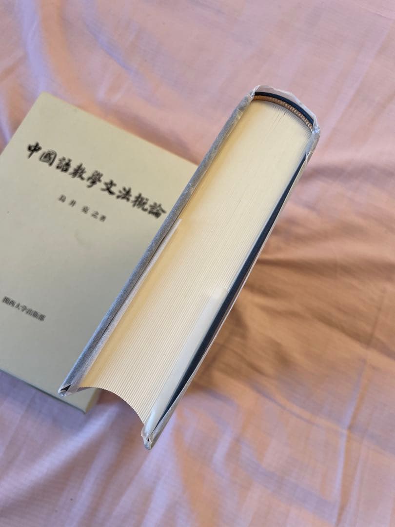 【新品】中国語教学文法概論　著者: 鳥井 克之　(入手困難書籍)