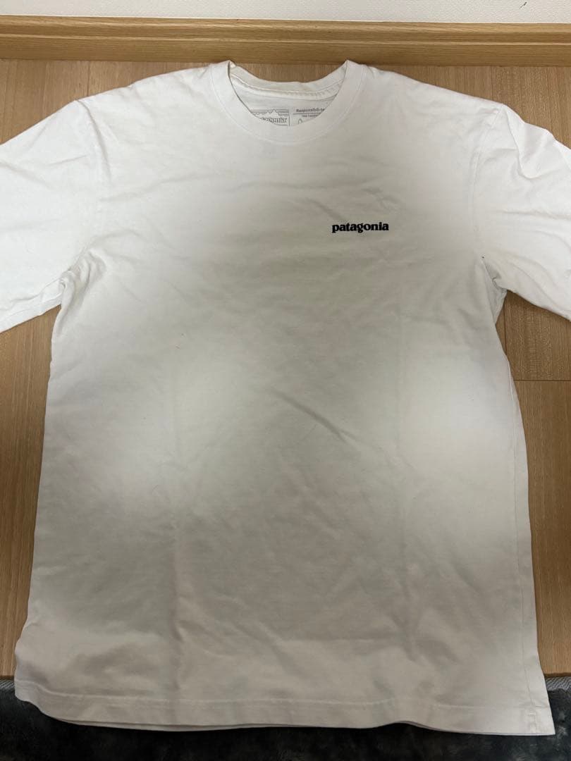 Patagonia パタゴニア　Tシャツ　ワールドトラウト　ニジマス　S 希少