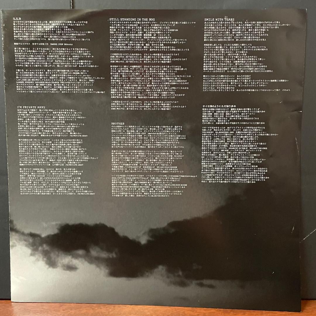 レコード2LP/THA BLUE HERB/SELL OUR SOUL