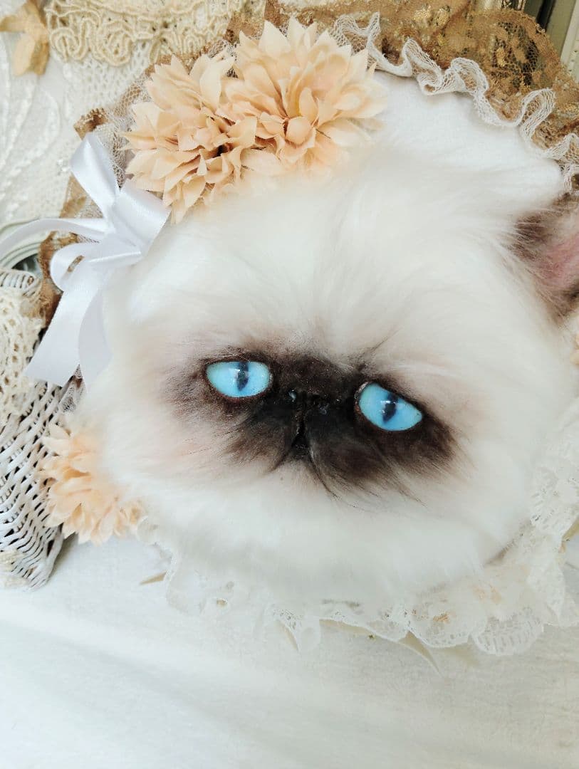 ハンドメイド♡ヒマラヤン♡猫のお顔クッション♡