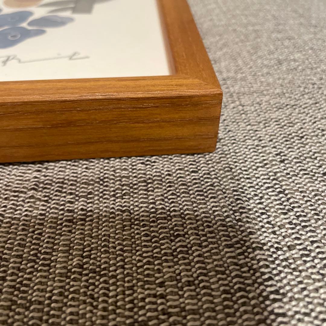サーモン　BIRDS' WORDS ポスター 30cm