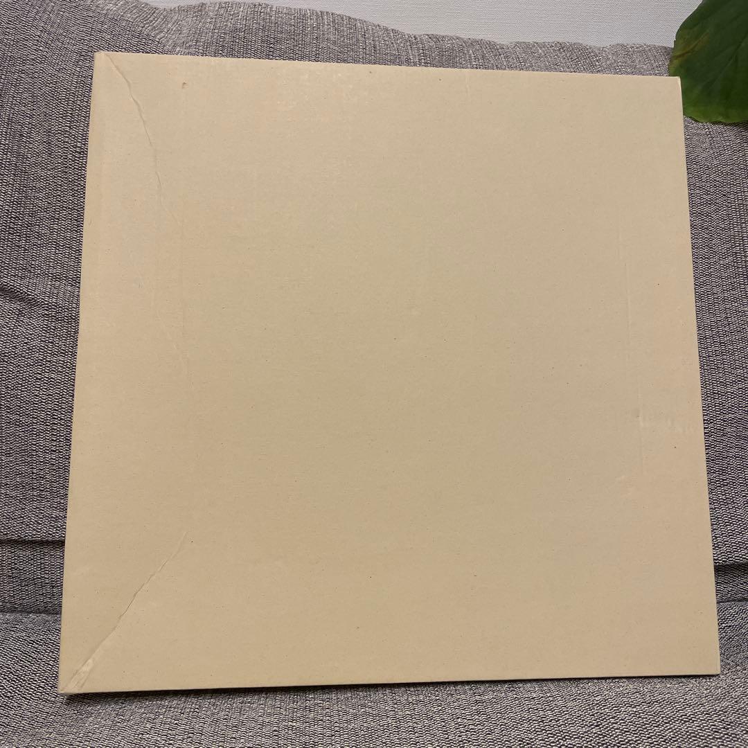 サーモン　BIRDS' WORDS ポスター 30cm