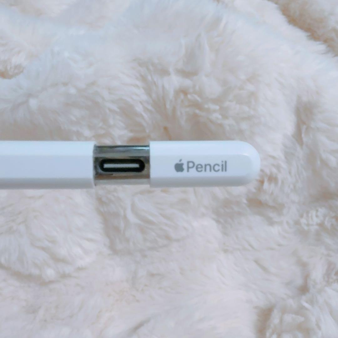 Apple Pencil USB-C 本体美品 箱には傷あり