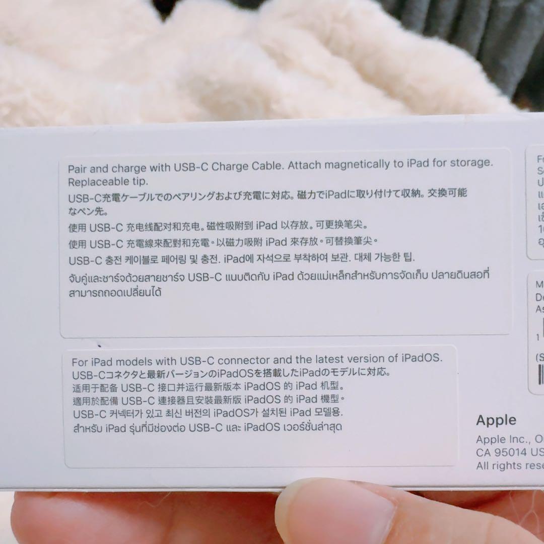 Apple Pencil USB-C 本体美品 箱には傷あり