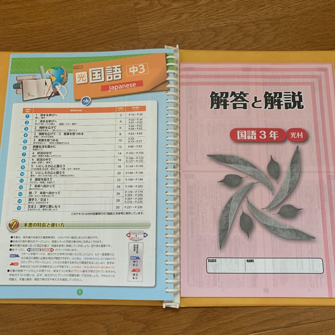 【美品】中学2年・3年学習教材　Zesty（国・数・理）
