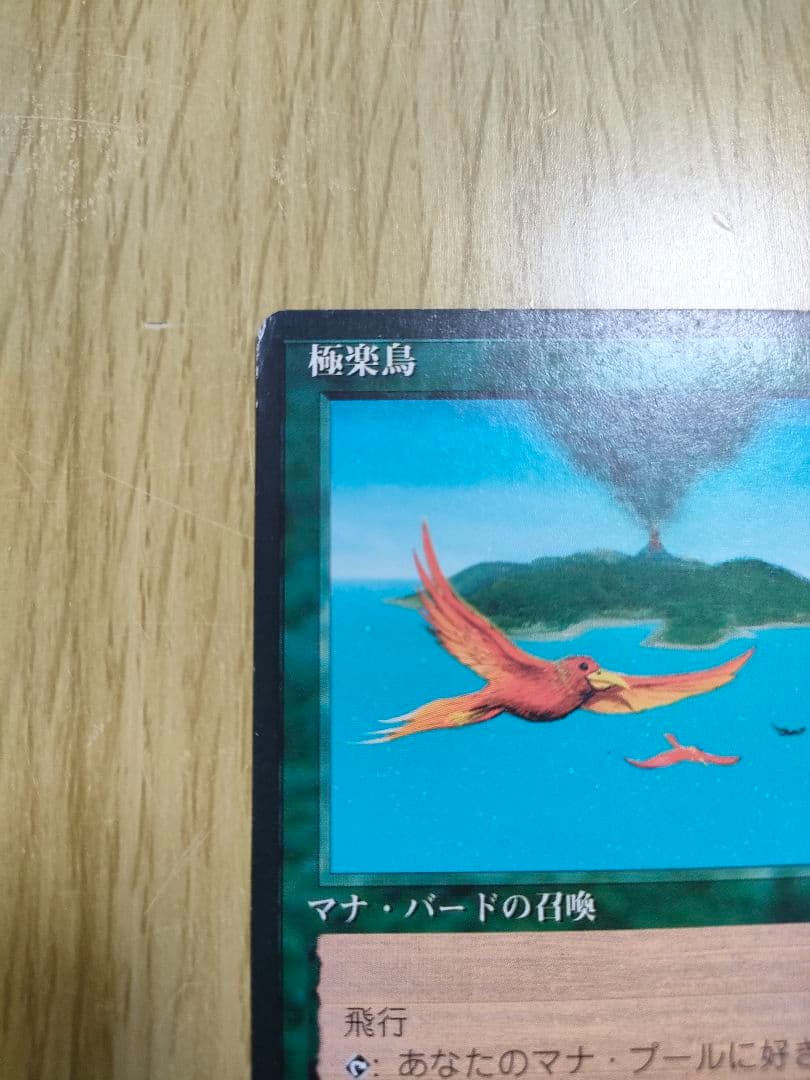 極楽鳥４版５版日本語セット　MTG　マジックザギャザリング