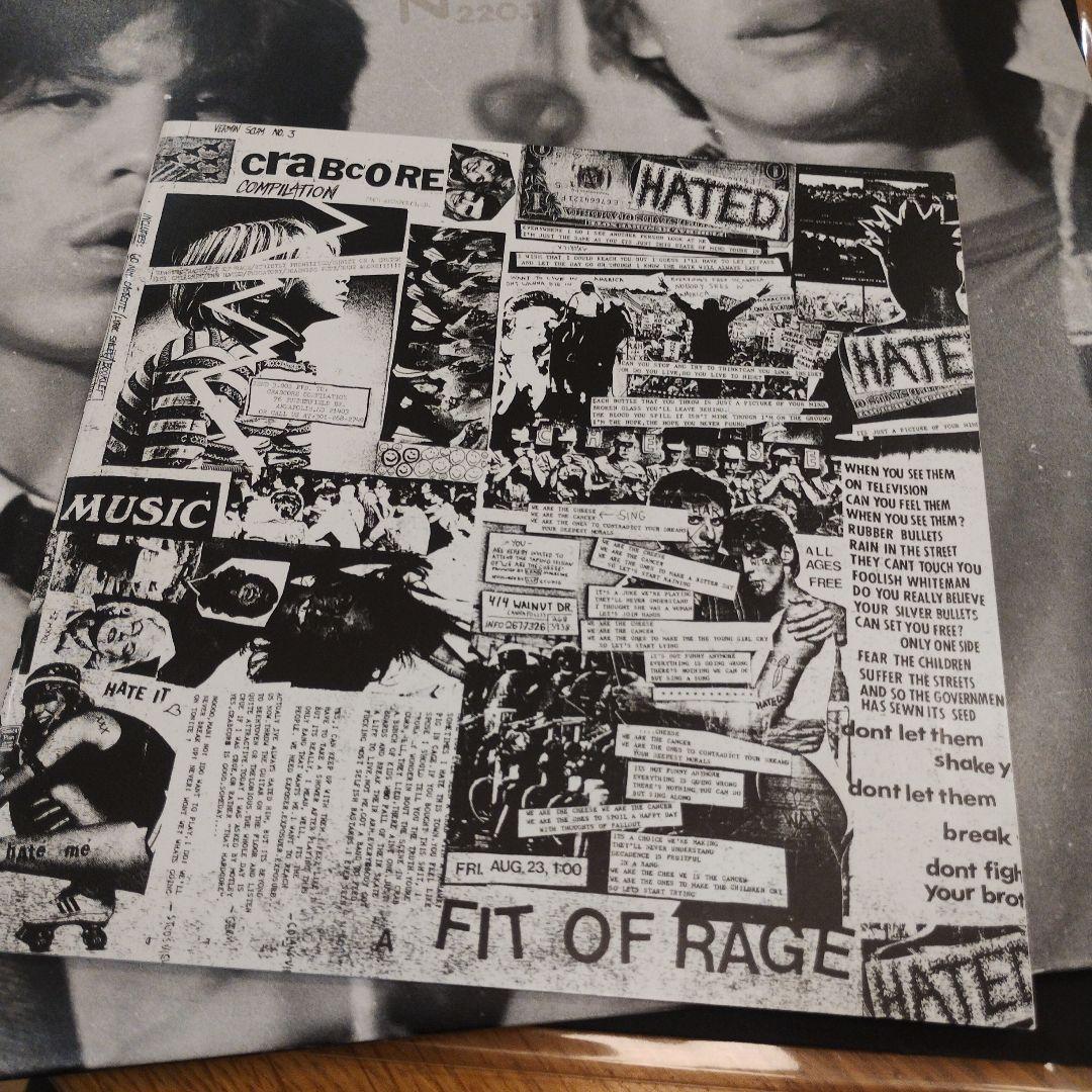 THE HATED / BEST PIECE OF SHIT / 2LP /名盤