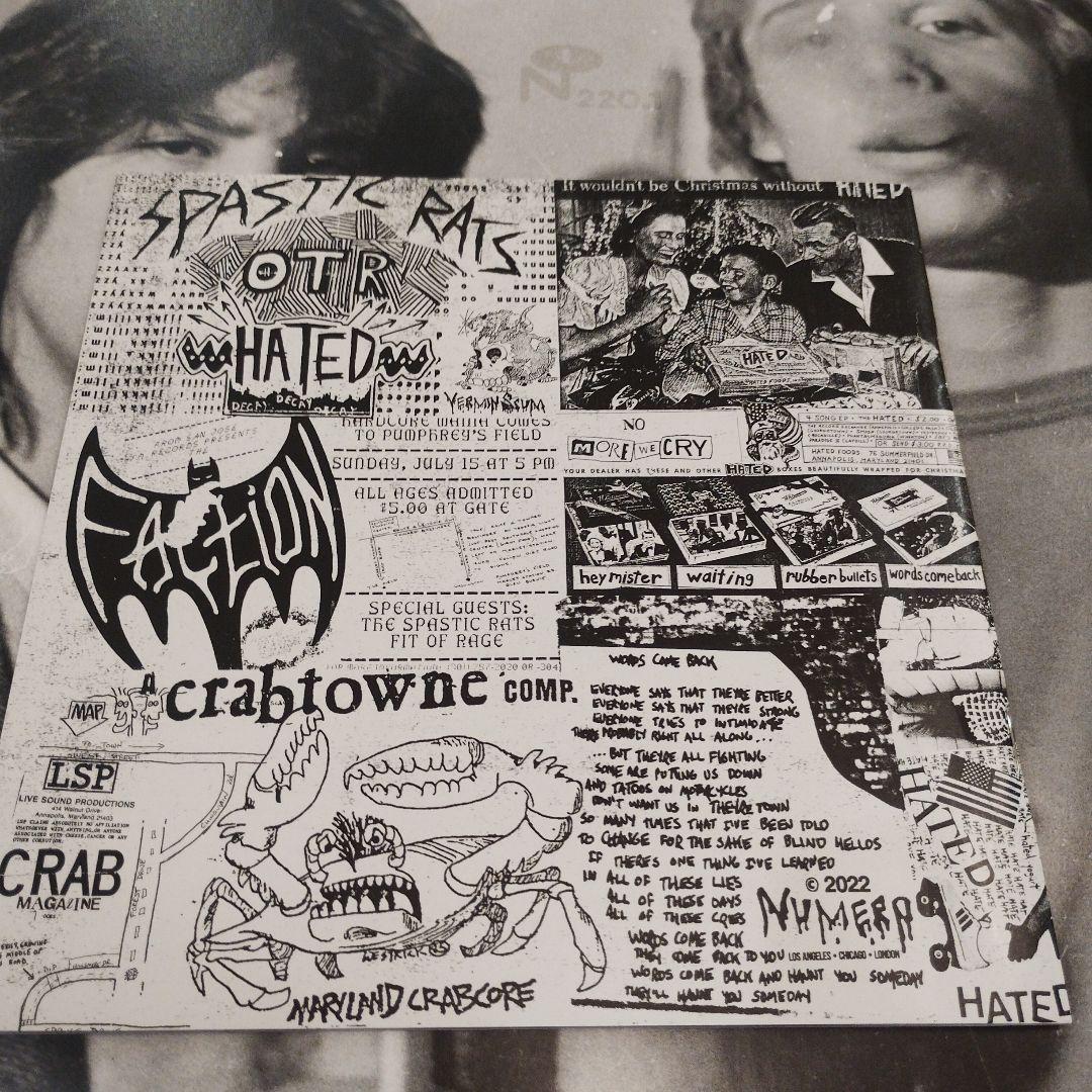 THE HATED / BEST PIECE OF SHIT / 2LP /名盤