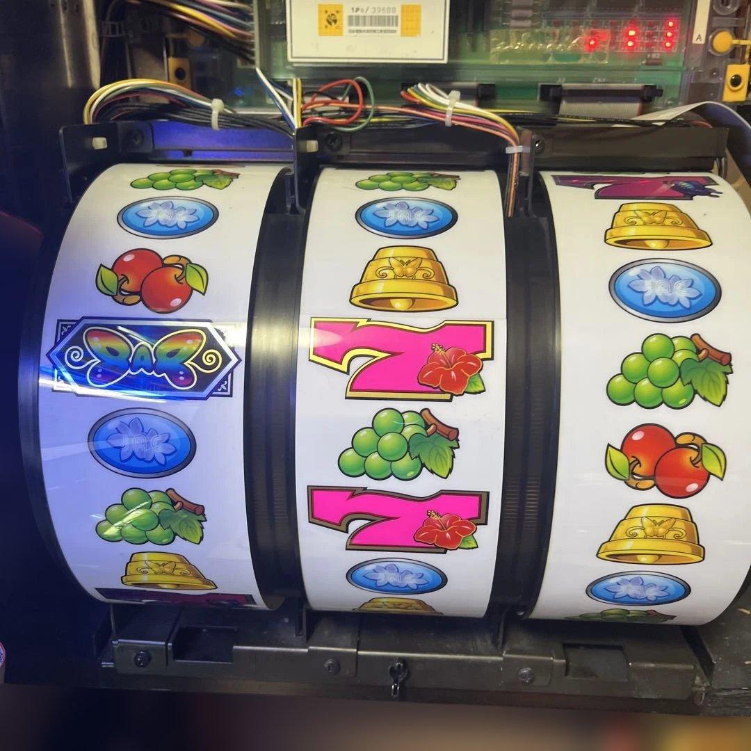【送料込】ワンダーフライ　不要機仕様