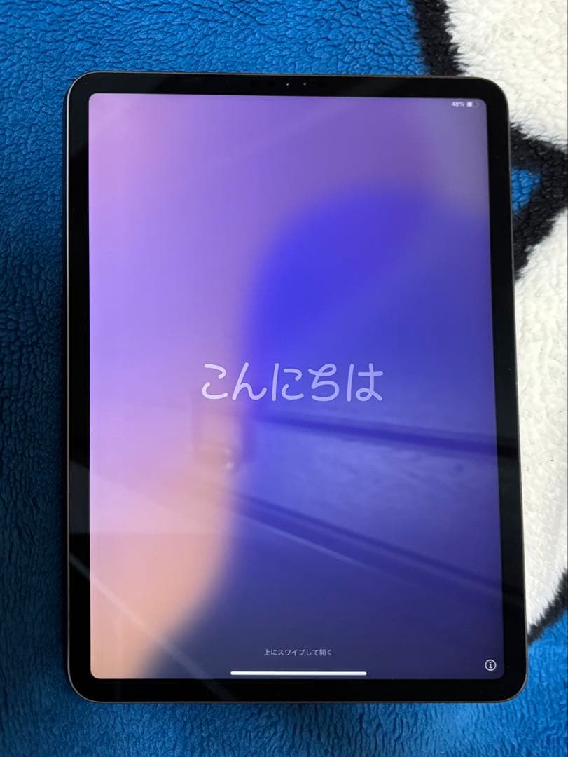 iPad Pro 11インチ 第2 128GB + Apple Pencil第2