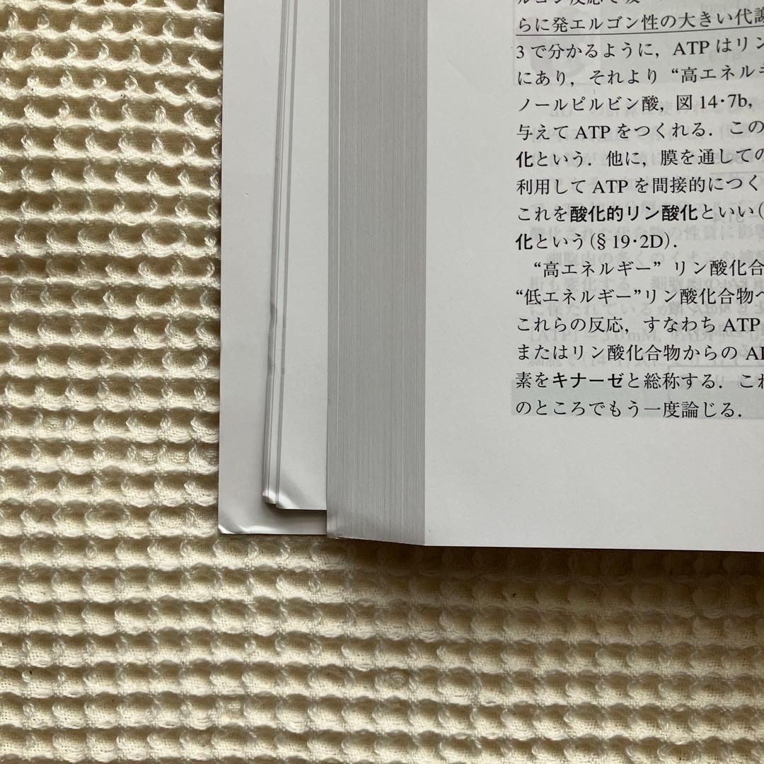 ヴォート基礎生化学