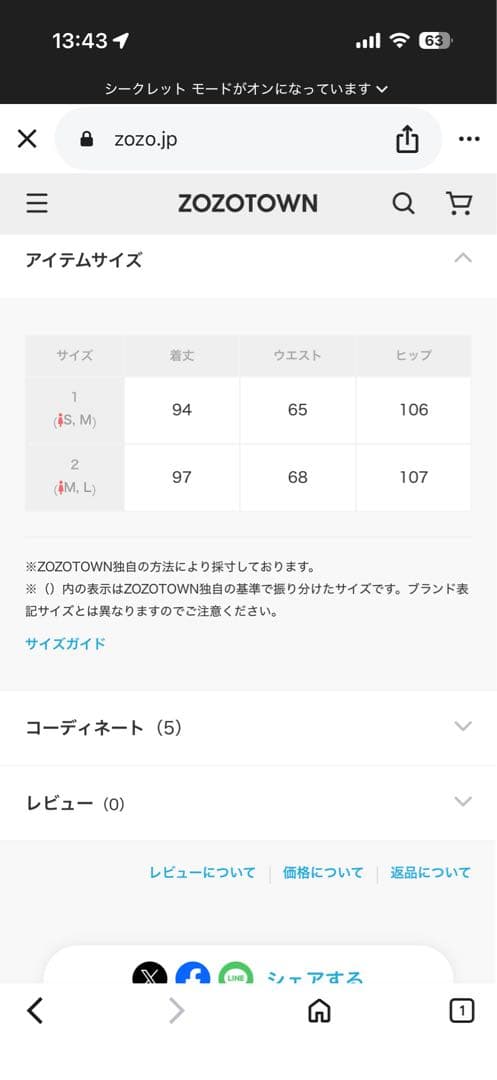 ののの UNITED TOKYO モザイクシアーフレアスカートブラック