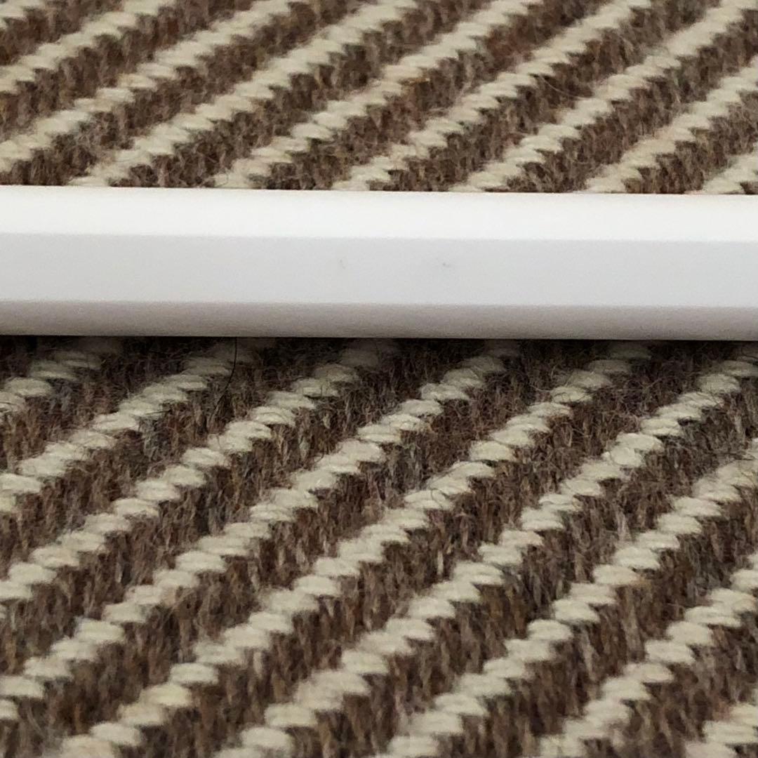 Apple pencil (第2世代)(刻印無)