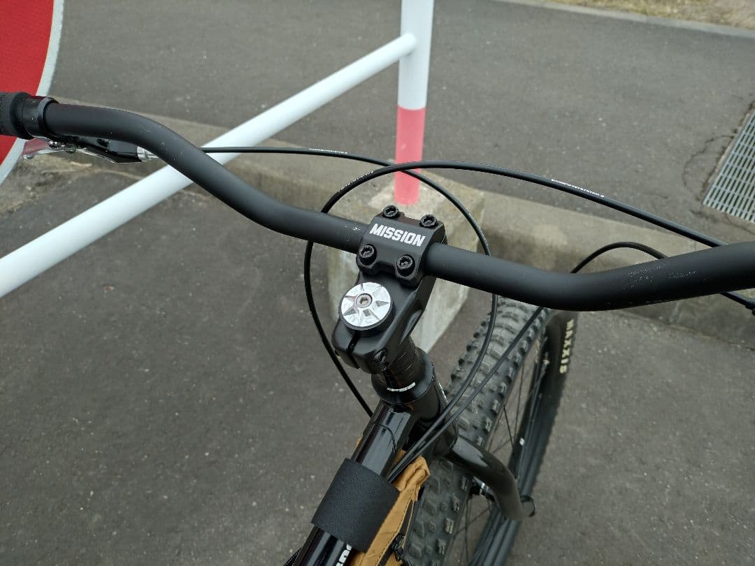 エリエールさま専用　サーリー SURLY ローサイド LOWSIDE サイズ∶M