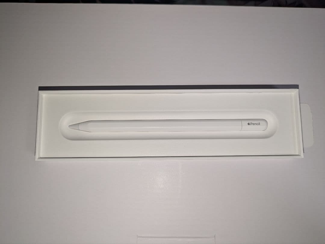 Apple Pencil (usb-c) 純正