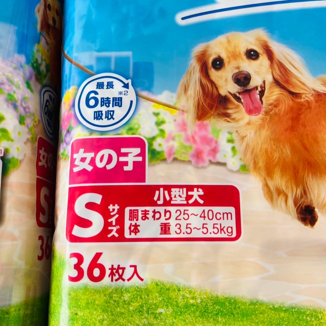 未開封 マナーウェア < 女の子 用 Sサイズ > 6袋セット ユニチャーム 犬