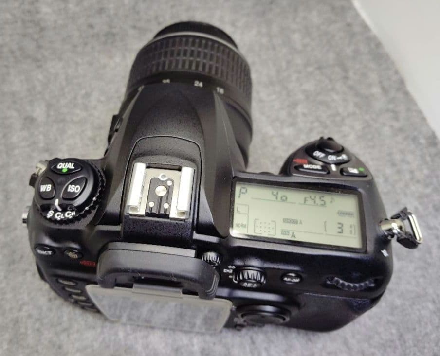 Nikon D200 標準ズームレンズ付　シャッター回数約4600回 CCD機