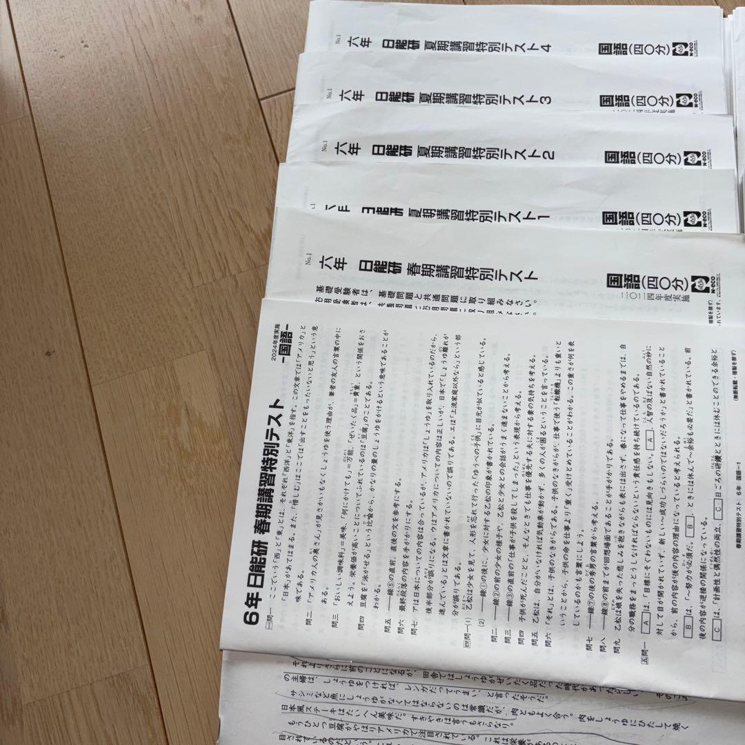 2024年度　日能研　6年生　学習力育成テスト　合格力育成　合格力実践
