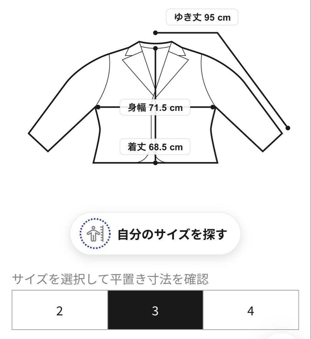 Sacaiサカイ25AW Carhartt WIP DUCK JACKET 3