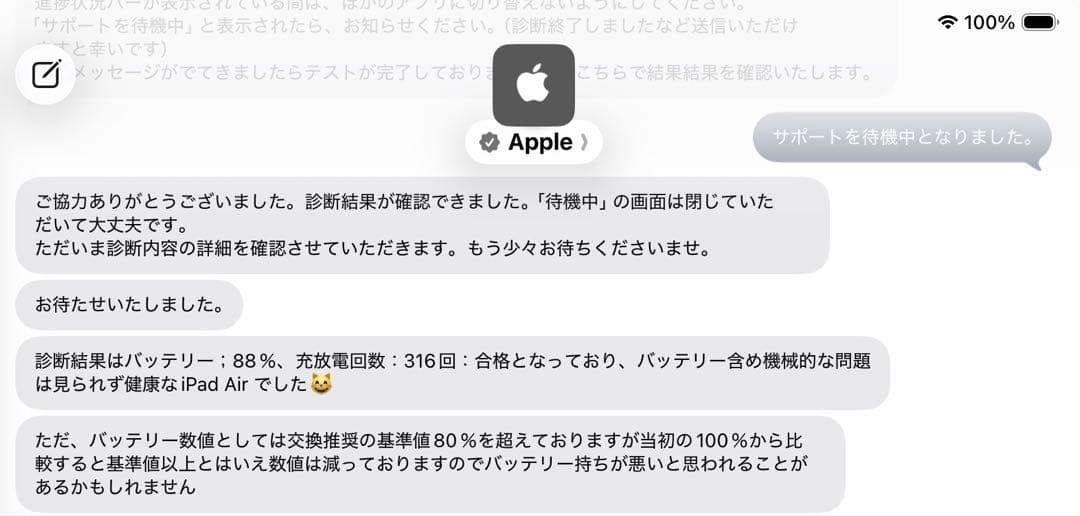 iPad Air (第4世代) 256GB Wi-Fi 【値下げ中】