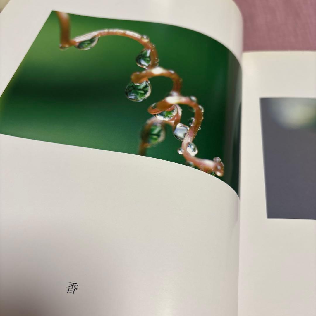 水に抱かれて　鈴木 瑩子　作品集　写真集