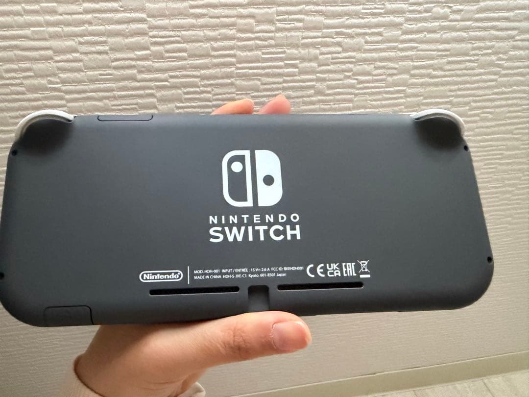 Switchライト本体 あつまれどうぶつの森 世界のアソビ大全