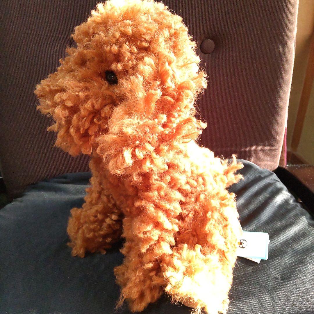 ジェリーキャット トイプードル 犬