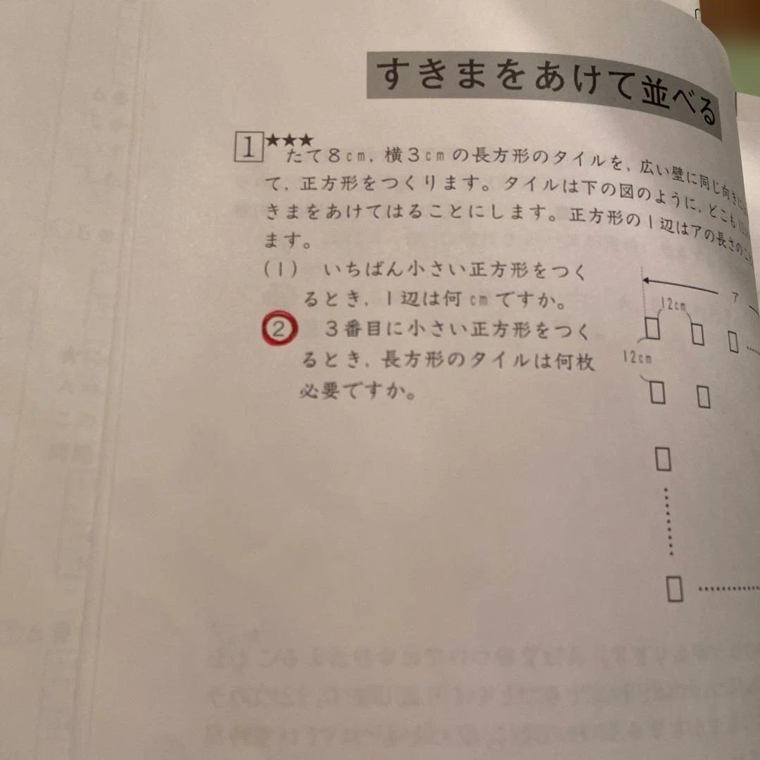 SAPIX 算数5年デイリーサピックス 合計58冊　抜けなし