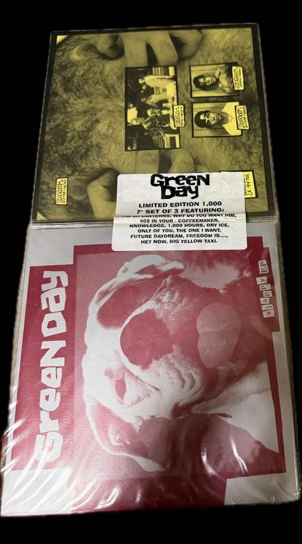 Green Day グリーンデイ 初期シングルコンパイルセット LTD1000