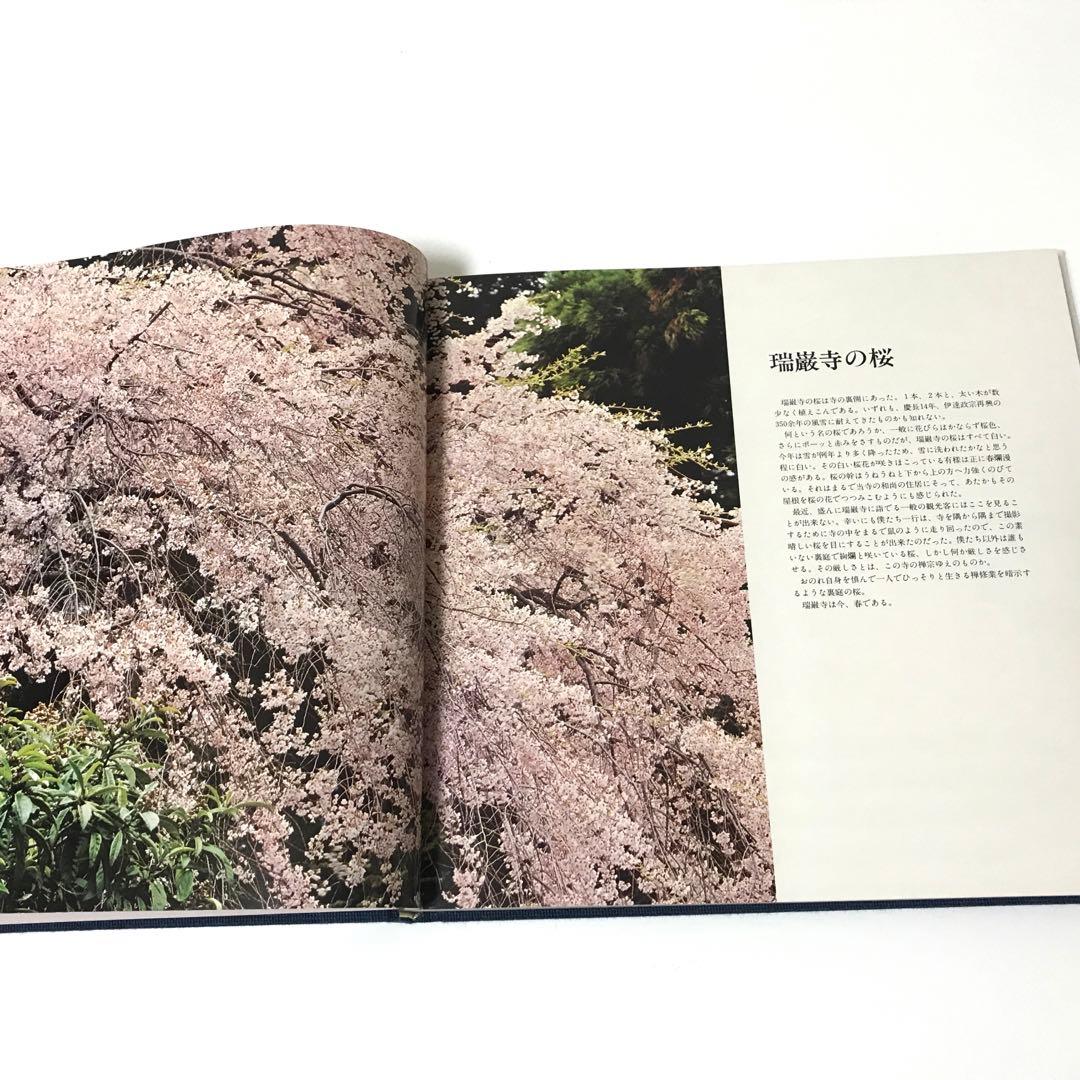 日本の美  土門拳　作品集 写真集
