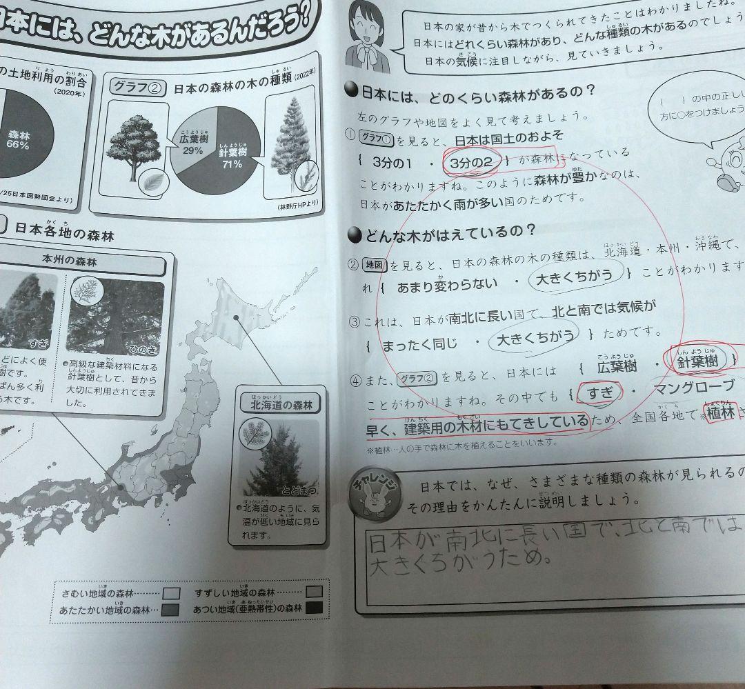 最新2025年度サピックス4年①国語・社会