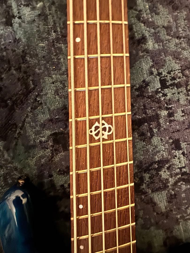 ベース SpectorNS Dimension 5 Black And Blue2023
