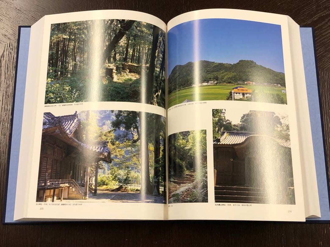 大嘗祭 第百二十五代天皇陛下・即位礼 皇太子様雅子さまご成婚 阿波古代史