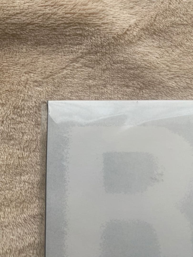 未使用 The Birthday ROKA アナログ レコード チバユウスケ