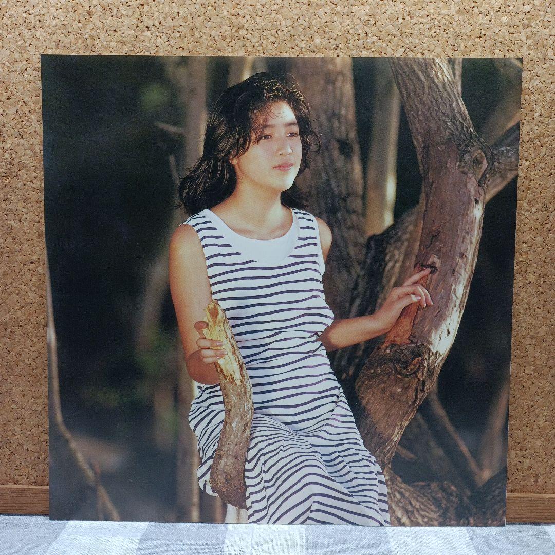 アドベンチャー 菊池桃子 LPレコード