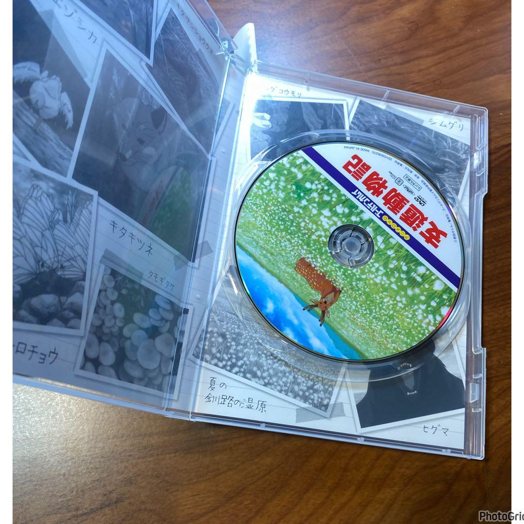 ゴールデンカムイ 23巻 DVD同梱版 特装版 限定版
