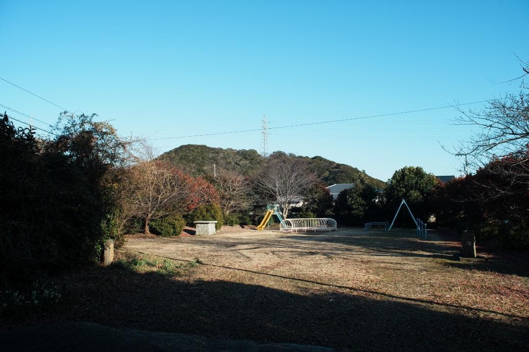 希少【整備＆テスト済】Canon New FD 24mm F2 238